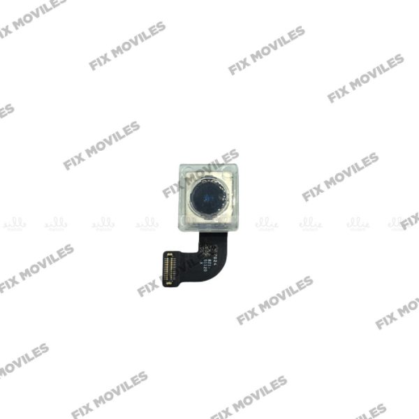 Camara Trasera para iPhone SE 2020 Desmontaje