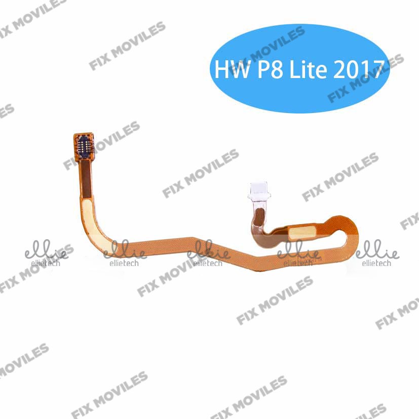 Cable Flex con Lector de huella para Huawei P8 Lite 2017 Cable Flex con Lector de huella para Huawei P8 Lite 2017 - Image 1